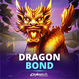 Dragon Bond